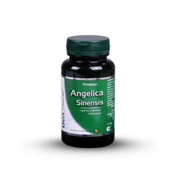 Angelica Sinensis 60cps, DVR Pharm