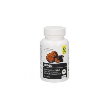 CHAGA BIO 400mg, 80cps, Raab