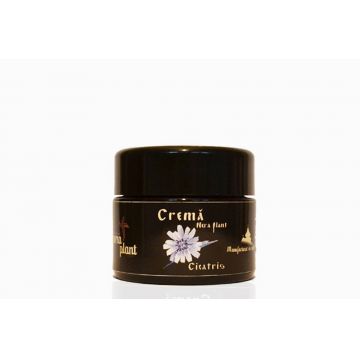 Crema Cicatris - Nera Plant 12.5g