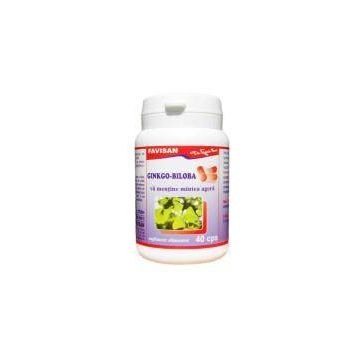 GINKGO BILOBA, 40cps - Favisan