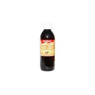 MULTIPLANT SIROP PENTRU DIABETICI, 250ml - Favisan