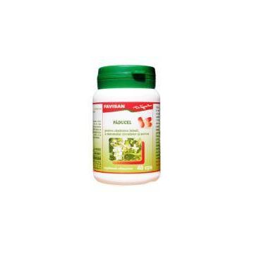 PADUCEL, 40cps - Favisan