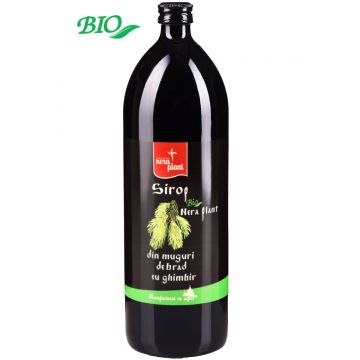 Sirop din muguri de brad cu ghimbir, 1000ml - Nera Plant