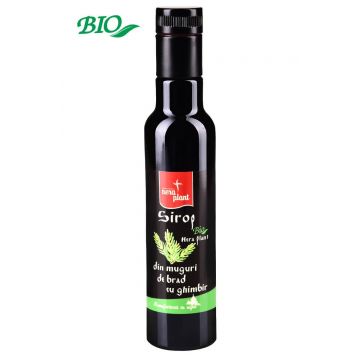 Sirop din muguri de brad cu ghimbir, 250ml - Nera Plant