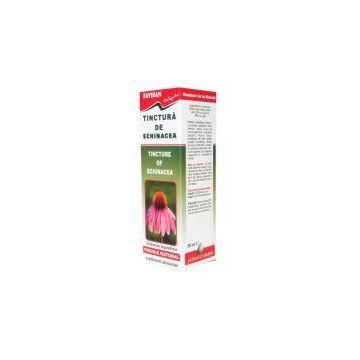 TINCTURA DE ECHINACEA, 50ml - Favisan