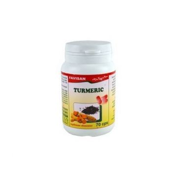 TURMERIC BIO 70cps, Favisan