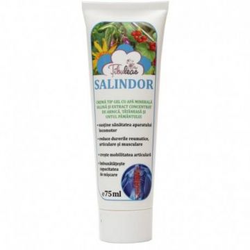 Salindor Crema tip Gel cu Apa Minerala Salina 75ml, Tibuleac