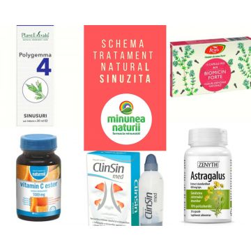 Sinuzita, Schema tratament natural sinuzita acuta si cronica