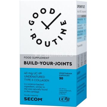 Build-Your-Joints - 30cps, Good Routine, Secom
