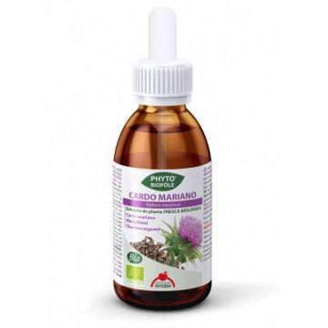 Extract BIO de armurariu, 50 ml - Phyto-Biopole