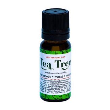 Ulei esential Tea Tree, 10ml - Steaua Divina