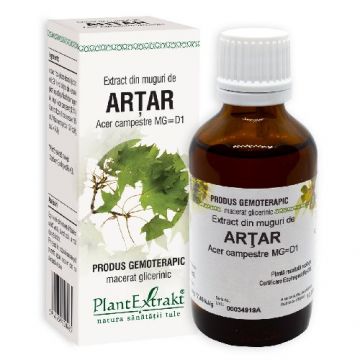 Extract Muguri Arțar 50 ml Plantextrakt