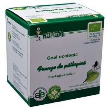 Ceai Patlagina Eco 25dz 1gr Hofigal