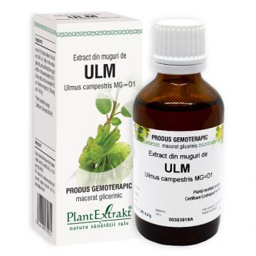 Extract din Muguri de Ulm Plantextrakt