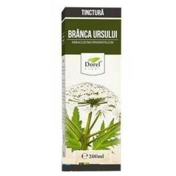 Tinctura Branca Ursului, 200ml, Dorel Plant