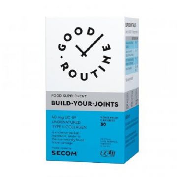 Build-Your-Joints 30cps, Secom
