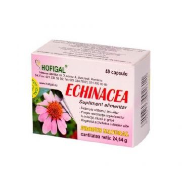 Echinacea 40cps Hofigal