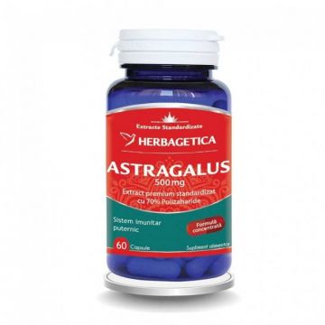 Astragalus, 500mg, 60cps si 30cps - Herbagetica 30 capsule