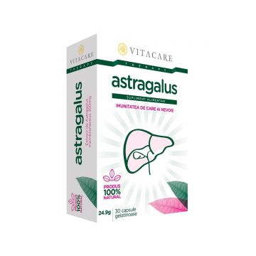 Astragalus forte, 30cps - VitaCare