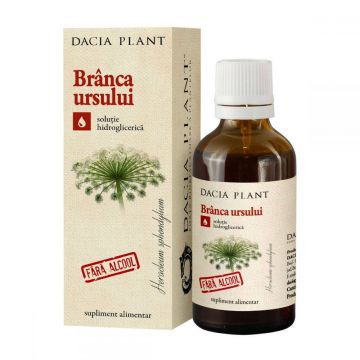 Tinctura Branca Ursului, fara alcool, 50ml - Dacia Plant