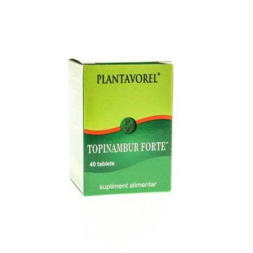 Topinambur Forte, 40tbl - Plantavorel