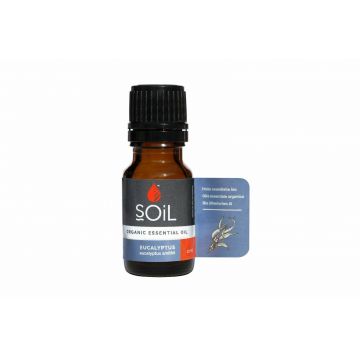 Ulei Esential Eucalyptus, 10ml - SOiL