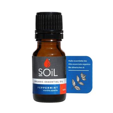 Ulei Esential Menta, 10ml - SOiL