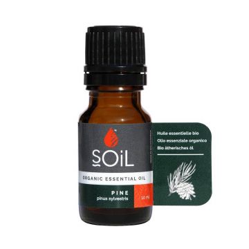 Ulei Esential Pin, 10ml - SOiL