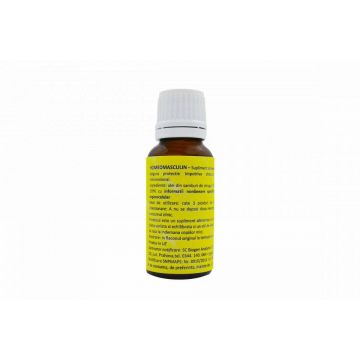 Homeomasculin, 20ml - Homeogenezis