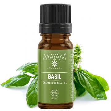 Ulei esential de Busuioc tropical, eco-bio, 10ml - Mayam