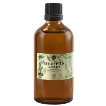 Ulei esential de Eucalipt Globulus, eco-bio, 100ml - Mayam