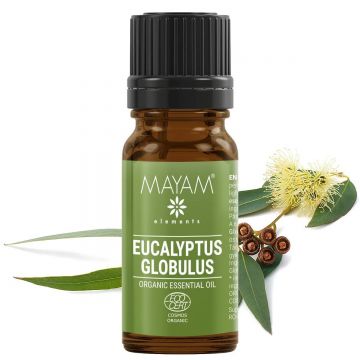 Ulei esential de Eucalipt Globulus, eco-bio, 10ml - Mayam