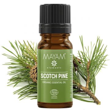 Ulei esential de Pin silvestru, eco-bio, 10ml - Mayam