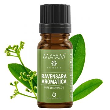 Ulei esential de Ravensara aromatica, 10ml - Mayam