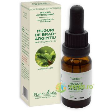 Concentrat Muguri de Brad Argintiu 15ml