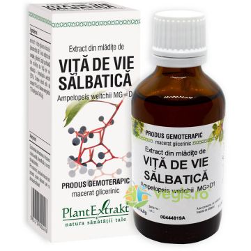 Extract din Mladite de Vita de Vie Salbatica 50ml