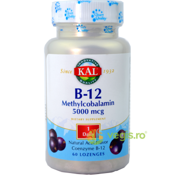 Methylcobalamin Vitamina B12 (Metilcobalamina) 5000mcg 60cpr Secom,