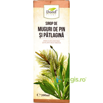 Sirop de Muguri Pin si Patlagina 200ml