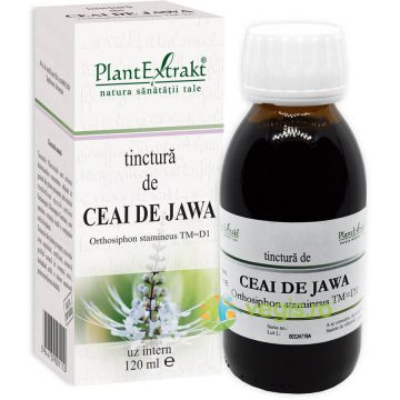 Tinctura Ceai De Jawa 120ml