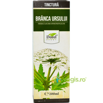 Tinctura de Branca Ursului 200ml