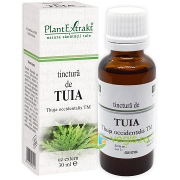 Tinctura Tuia 30ml