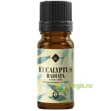 Ulei Esential de Eucalipt Radiata 10ml