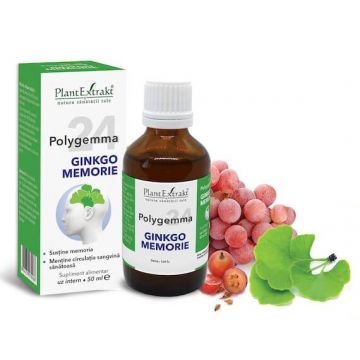 Polygemma 24 ginkgo memorie, 50ml - Plantextrakt