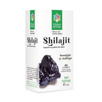 Shilajit, 500mg, 60cps - Steaua Divina