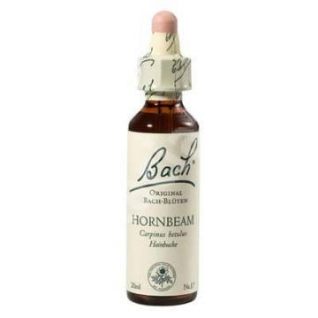 Hornbeam - Carpen (Bach17) 20ml - Remediu Floral Bach