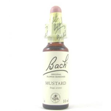 Mustard - Mustar Salbatic (Bach21) 20ml - Remediu Floral Bach