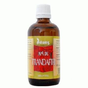 Apa De Trandafiri, 100ml - Adams Vision