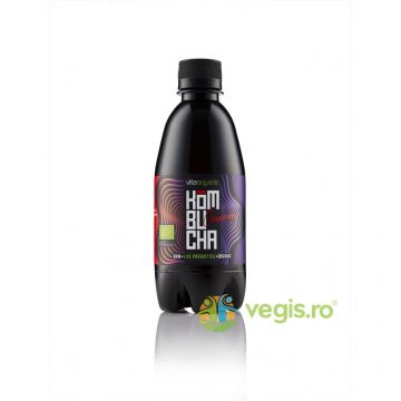 Kombucha cu Merisoare Raw Ecologice/Bio 330ml