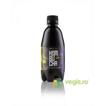 Kombucha cu Soc Raw Ecologica/Bio 330ml