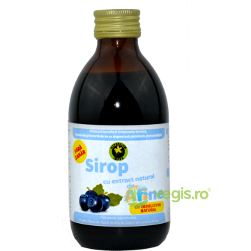 Sirop de Afine Fara Zahar 250ml